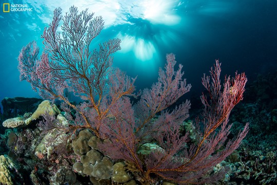national geo