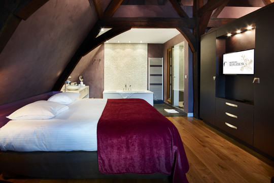 Suite spacieuse et raffinée au Van der Valk Sélys Hôtel Liège, alliant confort et style.