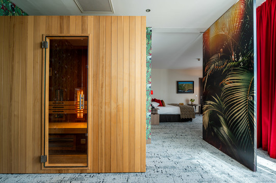 sauna suite wellness